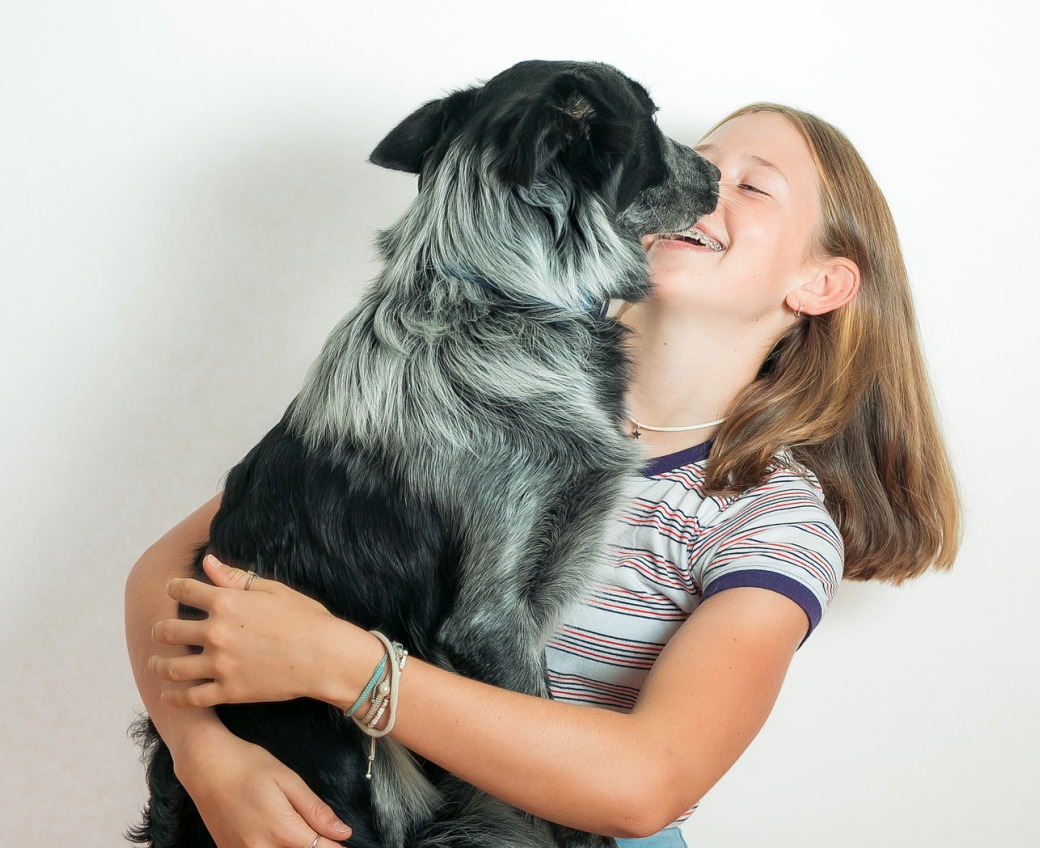 Natürliches 1x1 Training für Hunde mit Erfolg